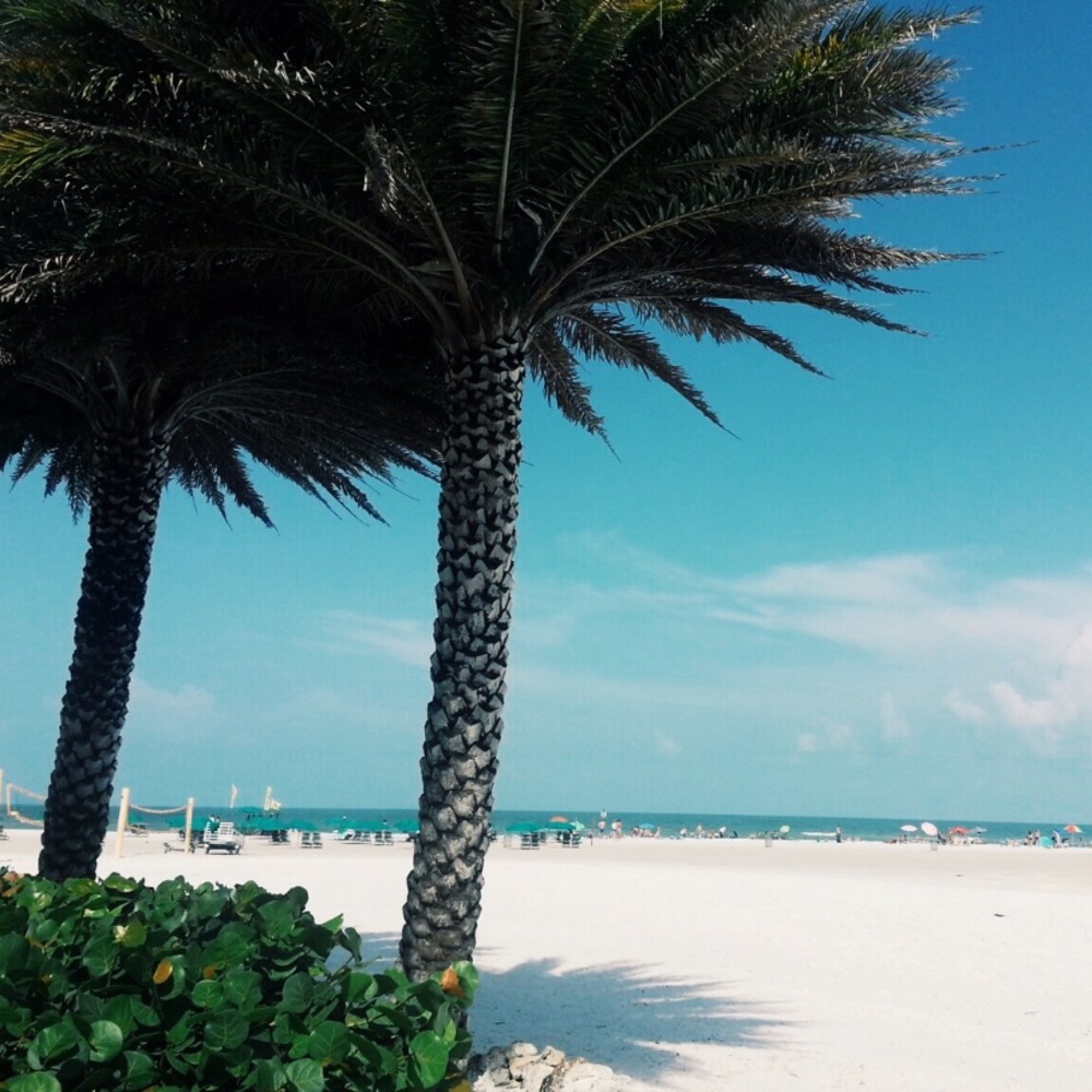 Meet your Posher, Judy